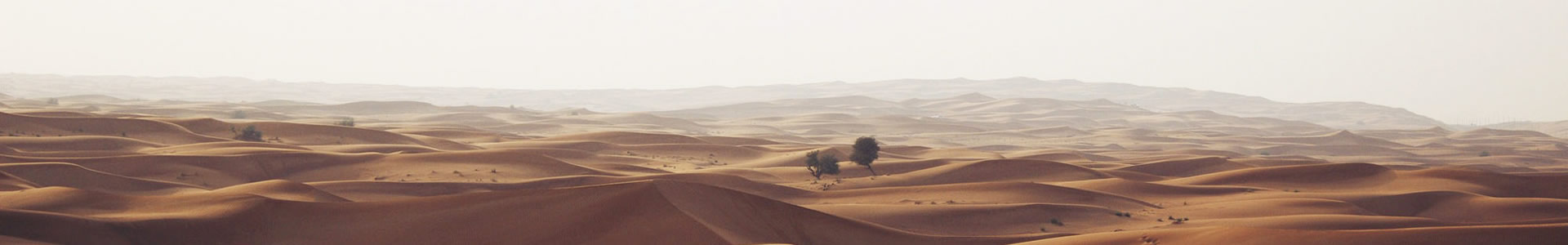 ٴеƼ޹˾